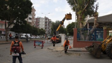 Kent genelinde sonbahar temizliği yapılıyor