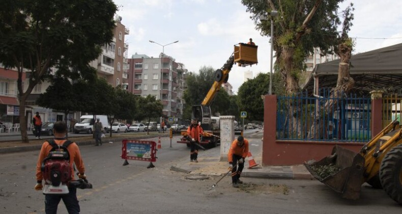 Kent genelinde sonbahar temizliği yapılıyor