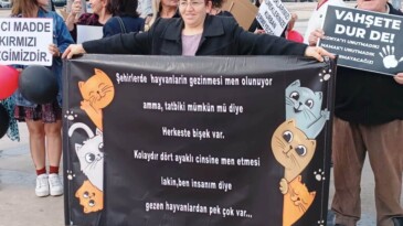 Hayvanseverler meydanlara indi