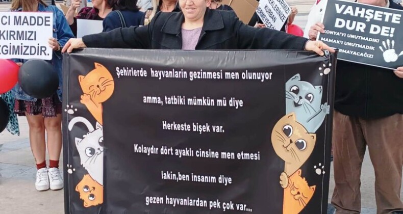 Hayvanseverler meydanlara indi