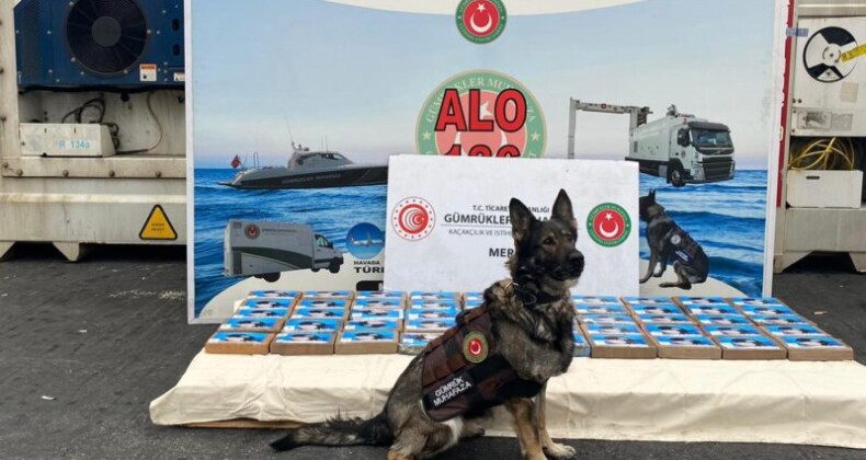 Mersin Limanı’nda 56 kg kokain ele geçirildi