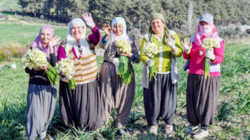 Mersin’de Nergis Festivali düzenlenecek