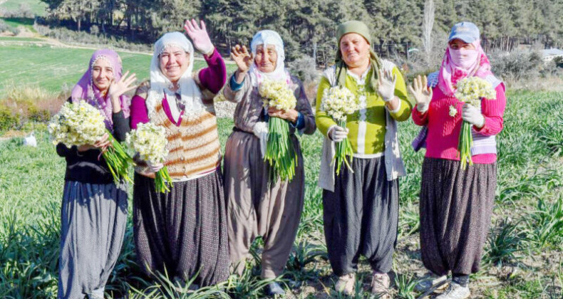 Mersin’de Nergis Festivali düzenlenecek