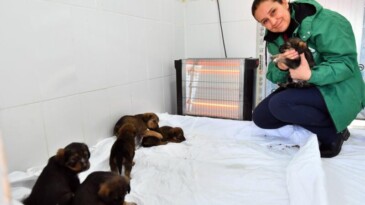 Mersin’de bin 100 patili dosta sıcak yuva sağlandı