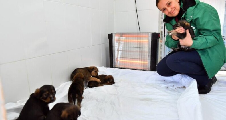 Mersin’de bin 100 patili dosta sıcak yuva sağlandı
