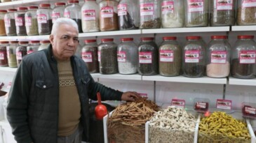 En çok zencefil, zerdeçal ve tarçın tercih ediliyor