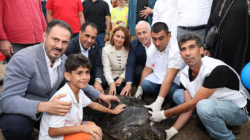 TEDAVİLERİ TAMAMLANAN DENİZ KAPLUMBAĞALARI DENİZE BIRAKILDI