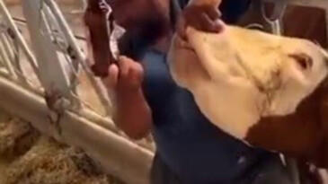 İNEĞE İÇKİ ŞİŞESİNDE SIVI VEREN ŞAHIS YAKALANDI