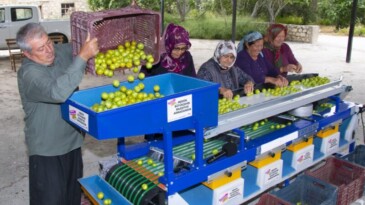 MUT’TAKİ ERİK ÜRETİCİSİNE BOYLAMA MAKİNESİ DESTEĞİ