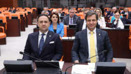 MİLLETVEKİLİ GÜLCAN KIŞ, ÇİLE YOLUNU MECLİS GÜNDEMİNE TAŞIDI