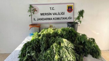 Mersin’de uyuşturucu satıcılarına operasyon: 3 gözaltı