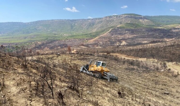 GÜLNAR’DA YANAN ORMANLIK ALANLARDA AĞAÇLANDIRMA ÇALIŞMALARINA BAŞLANDI