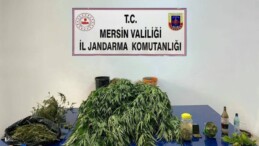 MERSİN’DE 5 KİLO 620 GRAM ESRAR İLE 578 KÖK HİNT KENEVİRİ ELE GEÇİRİLDİ