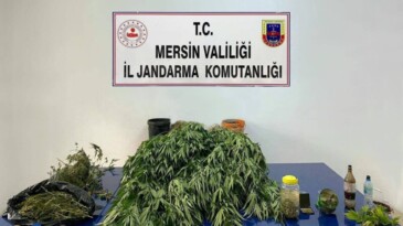MERSİN’DE 5 KİLO 620 GRAM ESRAR İLE 578 KÖK HİNT KENEVİRİ ELE GEÇİRİLDİ