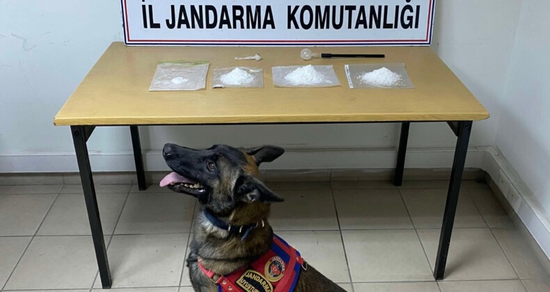 Mersin’de 1 kilo 14 gram metamfetamin ele geçirildi