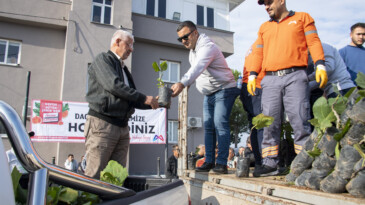 Büyükşehir sayesinde Mersin artık ‘incir’ kenti