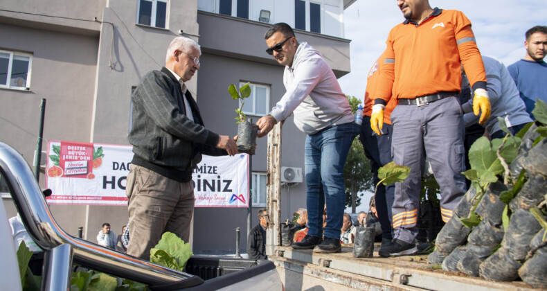 Büyükşehir sayesinde Mersin artık ‘incir’ kenti