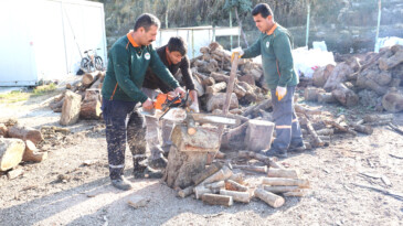 300 aileye 100 ton odun yardımı yapıldı
