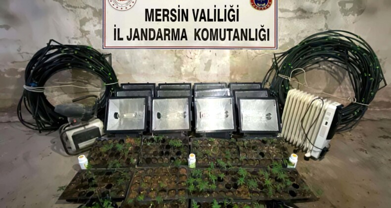 Tavuk çiftliğine uyuşturucu operasyonu: 1 şüpheli tutuklandı