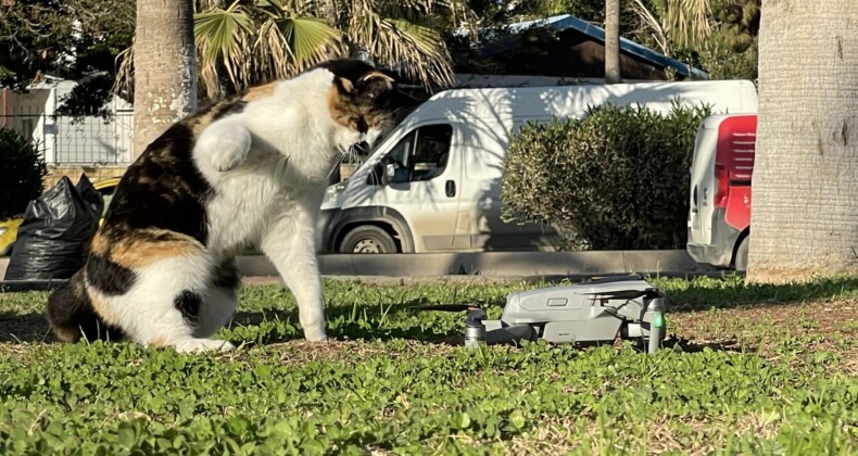 Kedinin dron ile oyunu gülümsetti