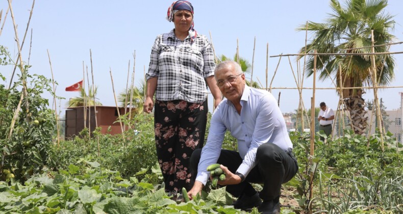 Mezitli’nin ‘Hobi Bahçeleri’ne büyük ilgi