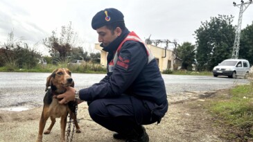 Köpek hırsızı jandarma ekiplerince yakalandı