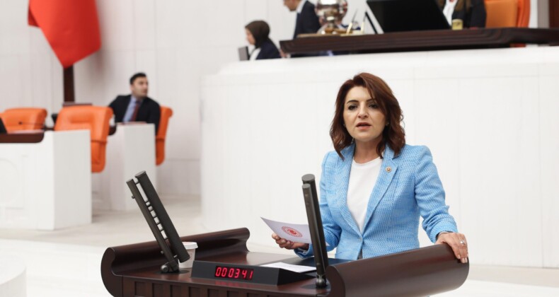 CHP’li Kış, otobüs kazalarını TBMM’ye taşıdı