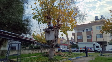 Akdeniz’de park ve yeşil alanlar yenileniyor