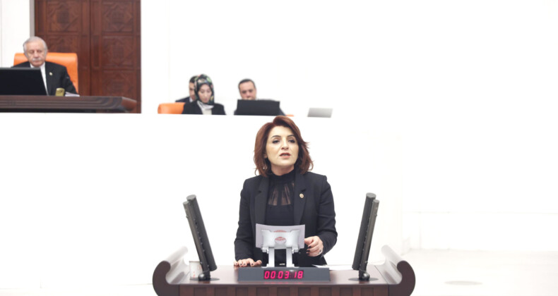 “Boş adreslere, metruk binalara seçmen yazılmış”