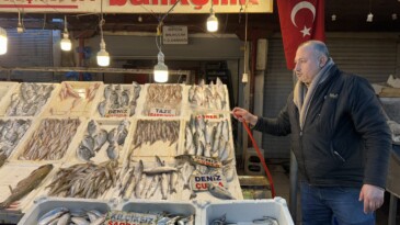 Akdeniz’de balık bereketi