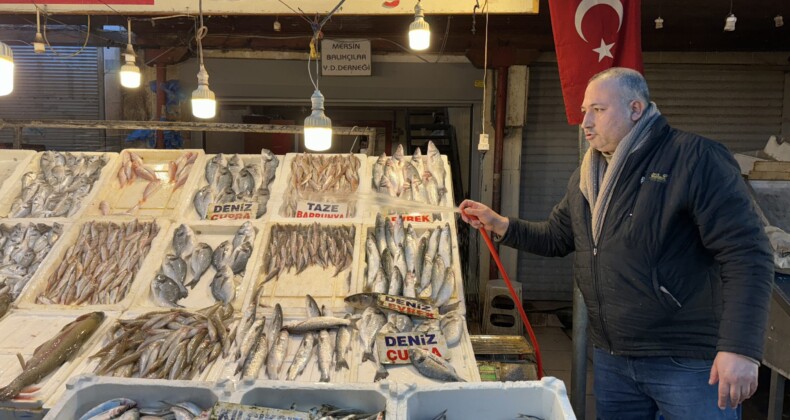 Akdeniz’de balık bereketi