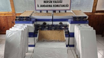 Mersin’de 500 bin adet makaron ele geçirildi