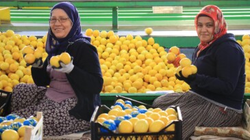 Hasattan paketlemeye her alanda kadınlar mesaide