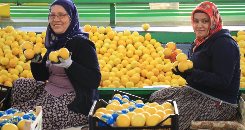 Hasattan paketlemeye her alanda kadınlar mesaide