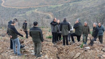 Yalçın, yanan sahalardaki yeşillendirme çalışmalarını inceledi