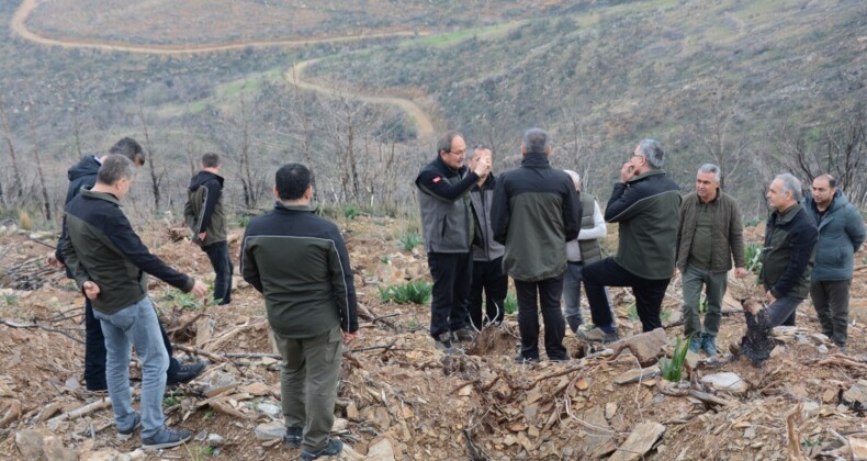 Yalçın, yanan sahalardaki yeşillendirme çalışmalarını inceledi