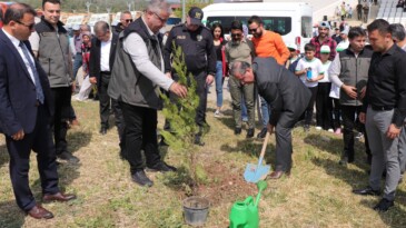 Kömür Ocağı Bal Ormanı, ‘örnek bal ormanı’ haline geldi