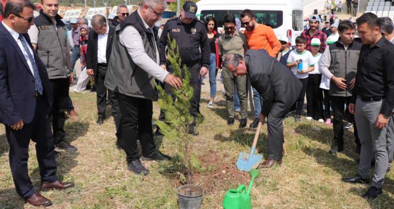 Kömür Ocağı Bal Ormanı, ‘örnek bal ormanı’ haline geldi