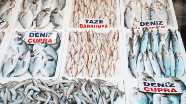 Av yasağının başlamasıyla balık çeşitliliği azalacak, fiyatlar aynı kalacak
