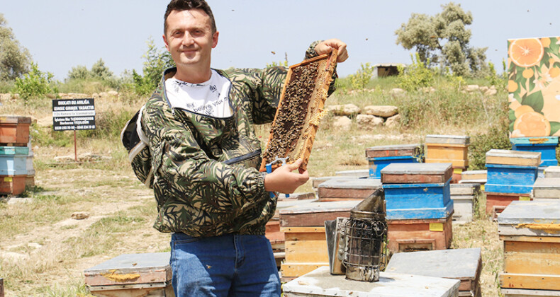Finans uzmanıydı, arıcı oldu