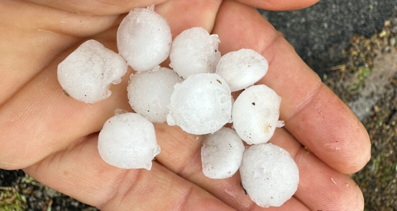 Mersin’de yağmur ve dolu bahçelerde zarara yol açtı
