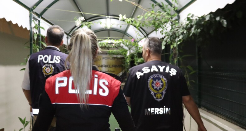 Mersin’de konaklama tesisleri denetlendi
