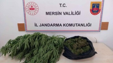 Kovalarda uyuşturucu yetiştiren 2 şüpheli yakalandı