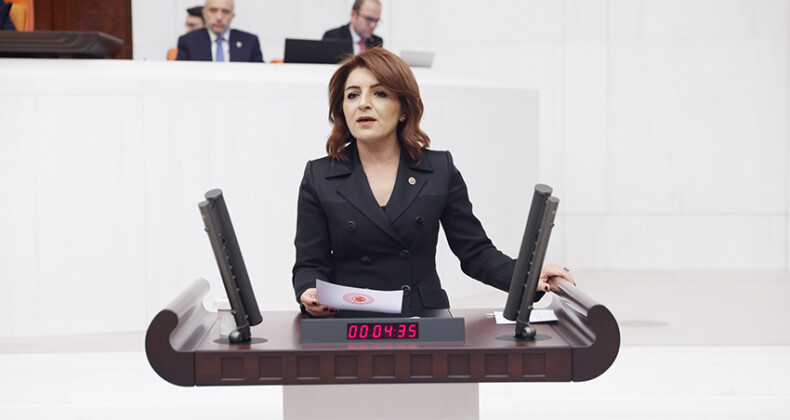 CHP’li Kış, otizmli çocukların ve ailelerinin sesi oldu