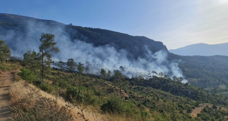 Mut’ta ormanlık alanda çıkan yangın kontrol altına alındı