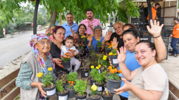 Sivrisinek ve haşere ile bitkisel mücadele