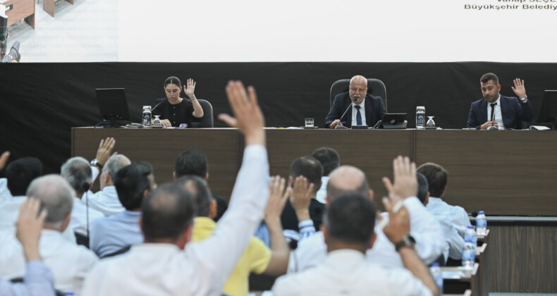 “Kayyum antidemokratik bir uygulamadır”