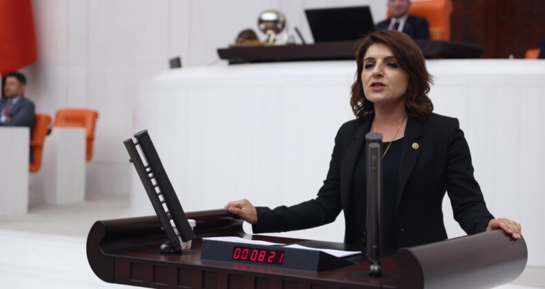 CHP’Lİ GÜLCAN KIŞ: “TÜRKİYE’NİN GENÇLİĞİ GELECEĞİNİ BAŞKA ÜLKELERDE ARIYOR”