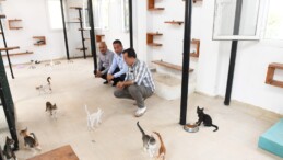 Özyiğit: “3 aylık bir sürede 11 köpeğimizi sahiplendirdik”