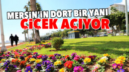 MERSİN’DE KENTİN DÖRT BİR YANI RENGARENK ÇİÇEKLERLE DONATILIYOR
